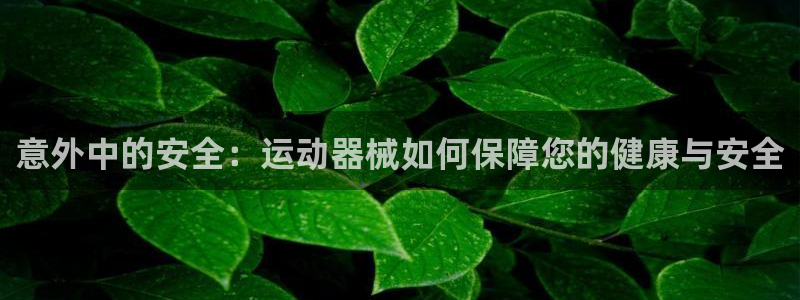 意昂4娱乐是那个系列的台子