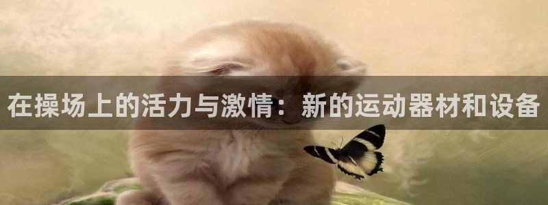 意昂体育4招商：在操场上的活力与激情：新的运动器材和