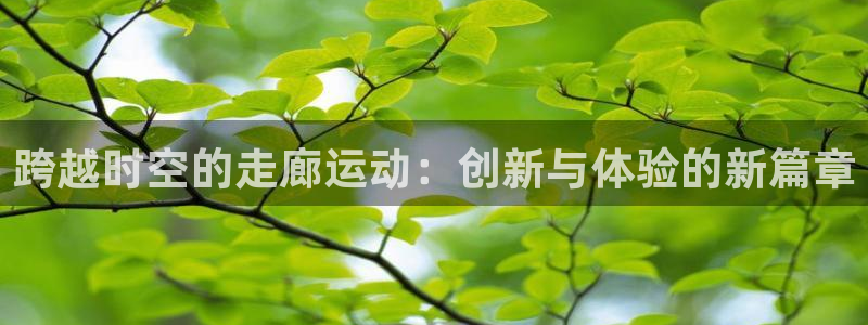意昂体育4招商电话：跨越时空的走廊运动：创新与体验的