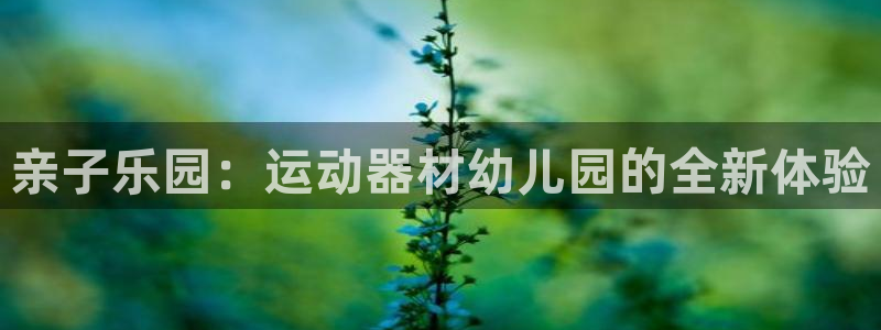 意昂体育4招商电话号码查询是多少：亲子乐园：运动器材