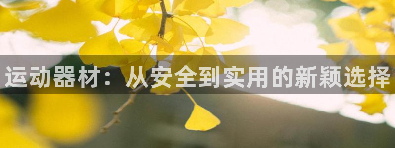 意昂体育4平台是正规平台吗知乎：运动器材：从安全到实