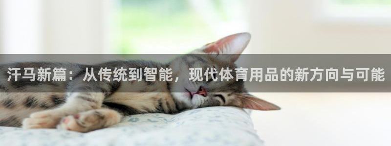 意昂4科技：汗马新篇：从传统到智能，现代体育用品的新