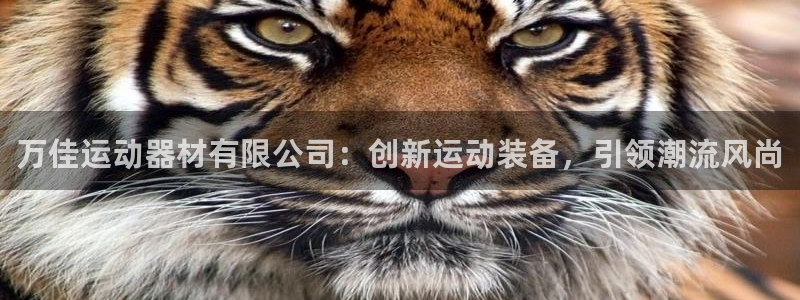 意昂体育4招商电话号码查询
