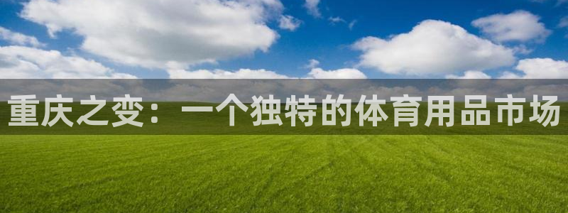 意昂体育4招商电话号码是多少啊：重庆之变：一个独特的