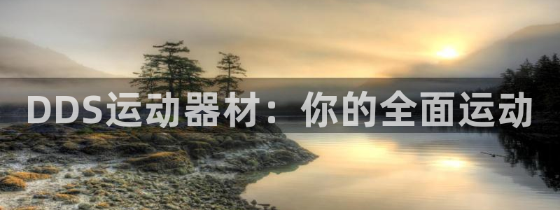 意昂体育4平台注册流程图：DDS运动器材：你的全面运