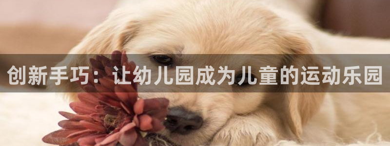 意昂体育4开户：创新手巧：让幼儿园成为儿童的运动乐园