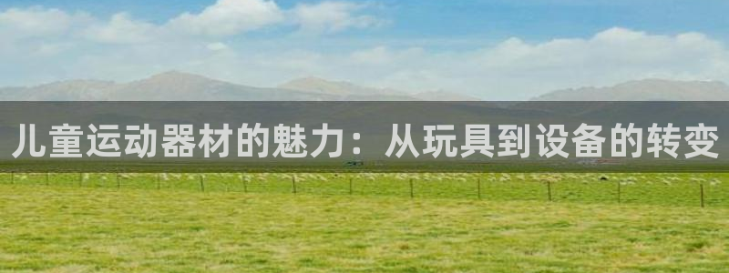 海南意昂体育4：儿童运动器材的魅力：从玩具到设备的转