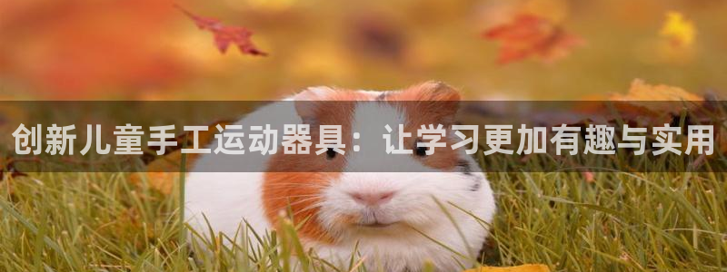 海南意昂体育4：创新儿童手工运动器具：让学习更加有趣