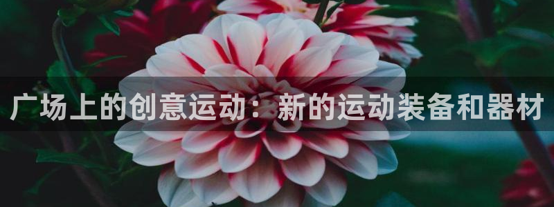 意昂体育4是干嘛的公司：广场上的创意运动：新的运动装备和器材