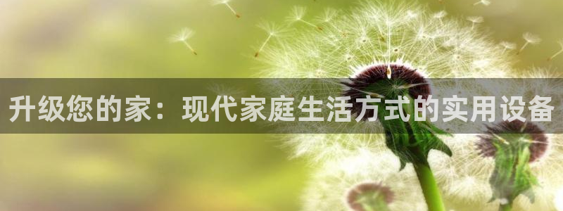 意昂4神州：升级您的家：现代家庭生活方式的实用设备