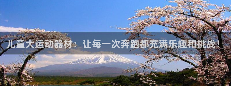 意昂体育4平台：儿童大运动器材：让每一次奔跑都充满乐