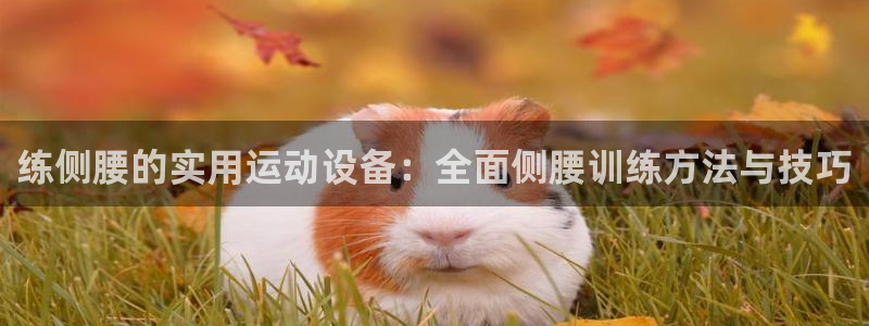 意昂4集团官网网址：练侧腰的实用运动设备：全面侧腰训练方法与