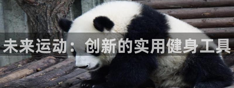 海南意昂体育4：未来运动：创新的实用健身工具