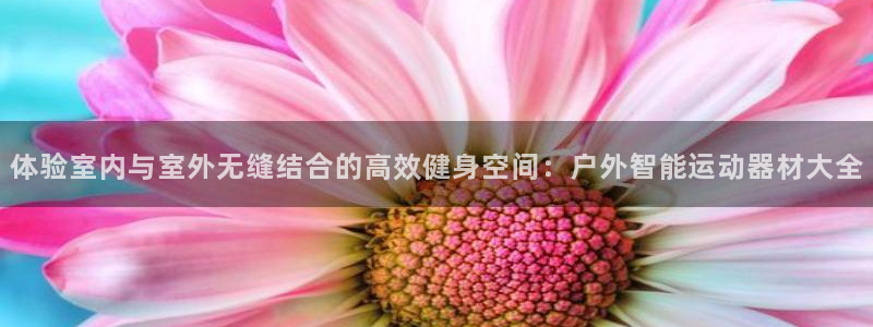 意昂体育4是干嘛的公司：体验室内与室外无缝结合的高效