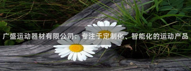 意昂4集团E.ON：广盛运动器材有限公司：专注于定制