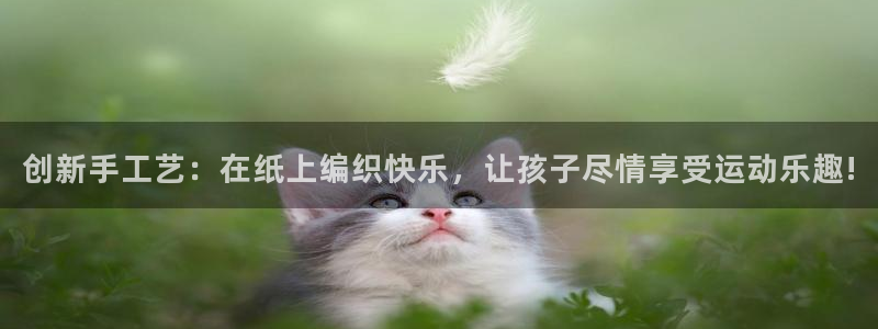 海南意昂体育4发展怎么样：创新手工艺：在纸上编织快乐