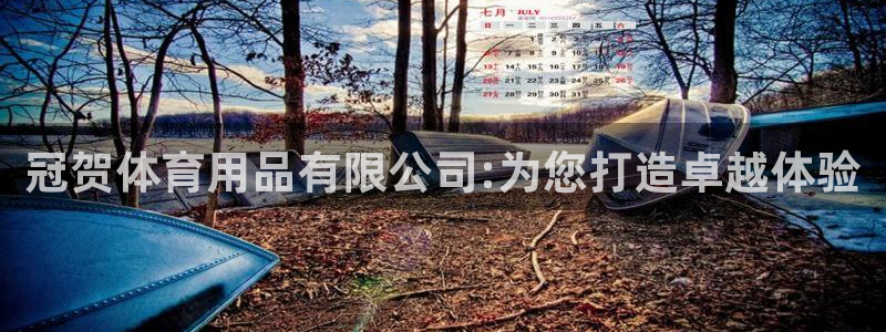 意昂4新能源：冠贺体育用品有限公司:为您打造卓越体验