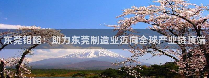 意昂体育4平台注册流程图：东莞韬略：助力东莞制造业迈