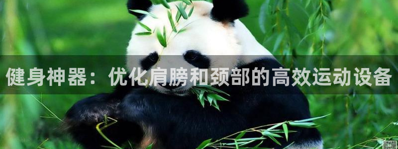 意昂体育4平台注册：健身神器：优化肩膀和颈部的高效运