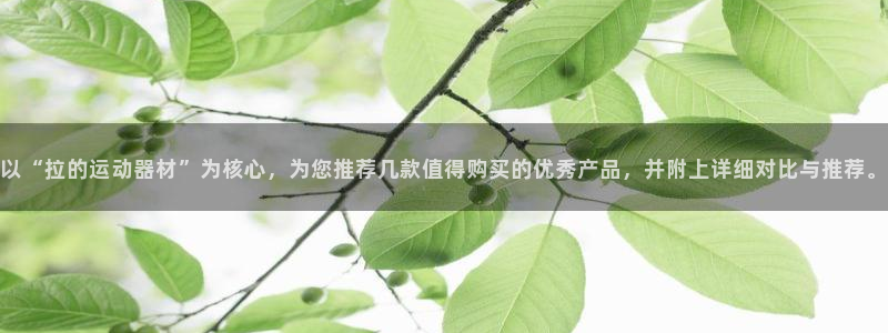 意昂体育4招商：以“拉的运动器材”为核心，为您推荐几