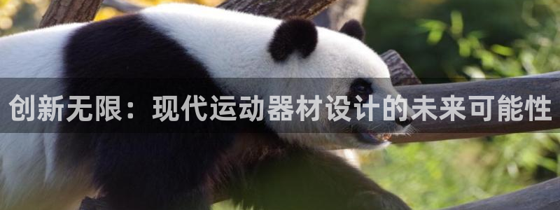 意昂体育4招商：创新无限：现代运动器材设计的未来可能