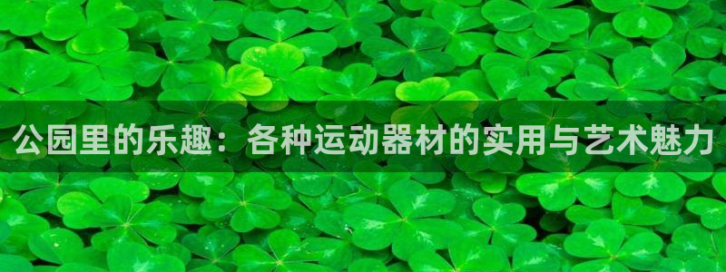 意昂体育4娱乐：公园里的乐趣：各种运动器材的实用与艺