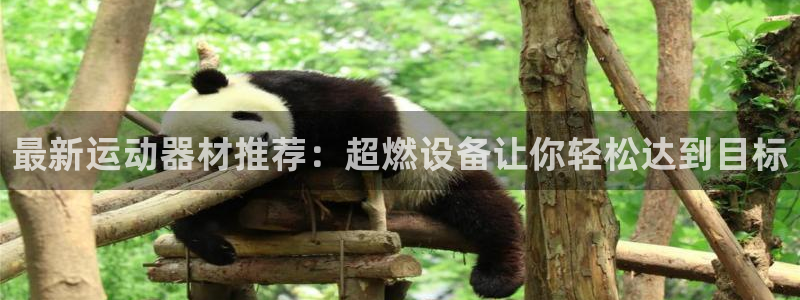 意昂体育4招商电话地址是多少:最新运动器材推荐:超燃设备让你