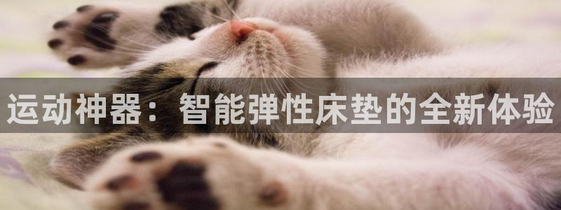 意昂体育4平台注册流程图：运动神器：智能弹性床垫的全