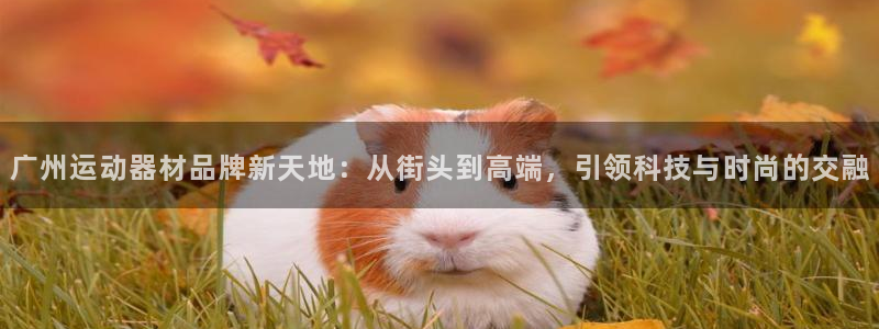 意昂体育4招商电话号码查询：广州运动器材品牌新天地：