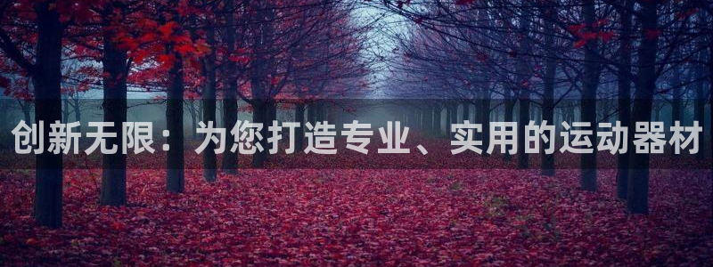 意昂4新能源：创新无限：为您打造专业、实用的运动器材