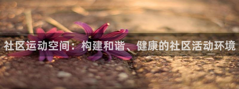 意昂4娱乐下载：社区运动空间：构建和谐、健康的社区活动环境