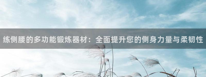 意昂4集团官网首页：练侧腰的多功能锻炼器材：全面提升