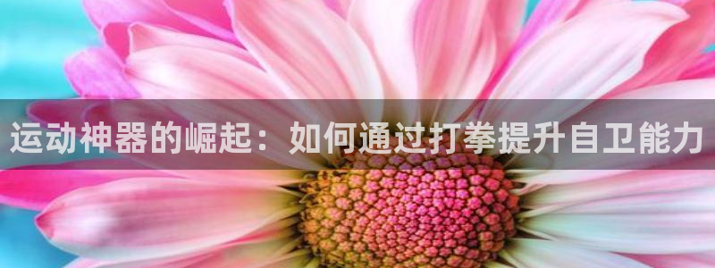 海南意昂体育4发展怎么样：运动神器的崛起：如何通过打