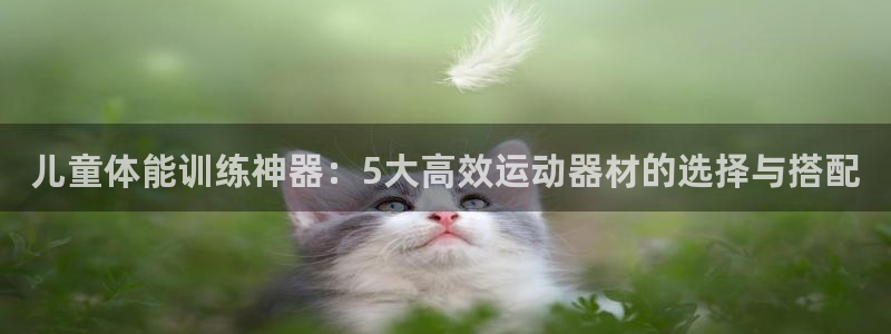 意昂体育4平台是正规平台吗：儿童体能训练神器：5大高