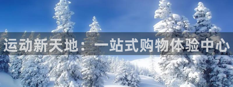 意昂体育4平台注册：运动新天地：一站式购物体验中心