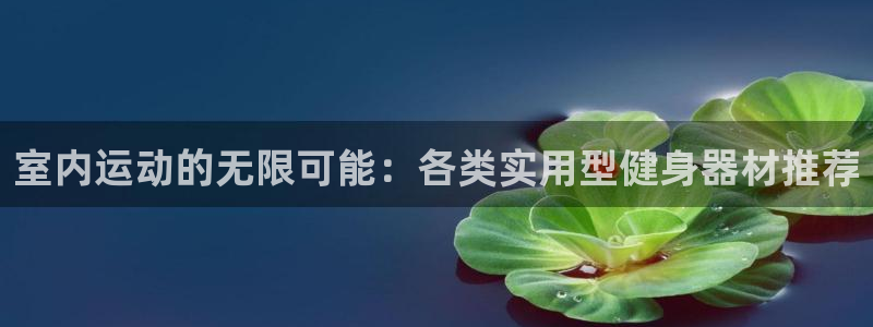 意昂体育4是干嘛的公司：室内运动的无限可能：各类实用