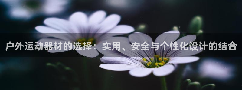 意昂4神州：户外运动器材的选择：实用、安全与个性化设