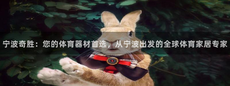 意昂4娱乐下载：宁波奇胜：您的体育器材首选，从宁波出