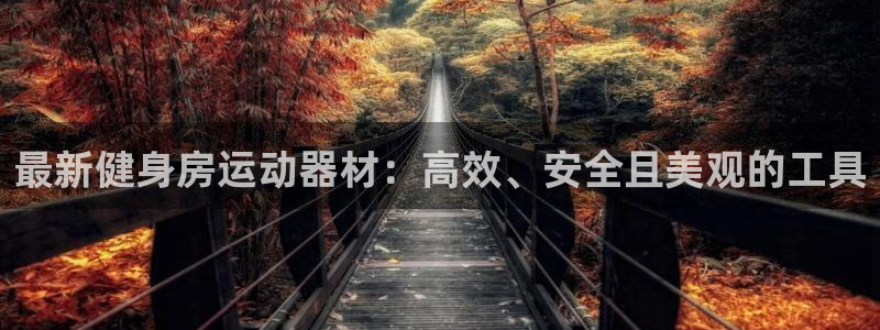 意昂4娱乐40996：最新健身房运动器材：高效、安全且美观的