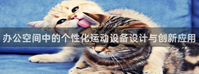 意昂4娱乐首页官网下载：办公空间中的个性化运动设备设计与创新