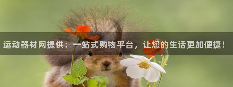 意昂体育4招商电话地址：运动器材网提供：一站式购物平