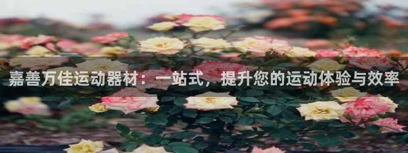 意昂体育4招商电话地址查询：嘉善万佳运动器材：一站式