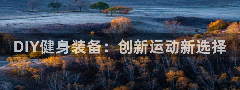 意昂集团官网：DIY健身装备：创新运动新选择