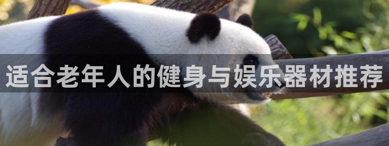 意昂体育4平台是正规平台吗安全吗：适合老年人的健身与