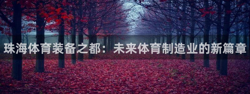 意昂4开户：珠海体育装备之都：未来体育制造业的新篇章