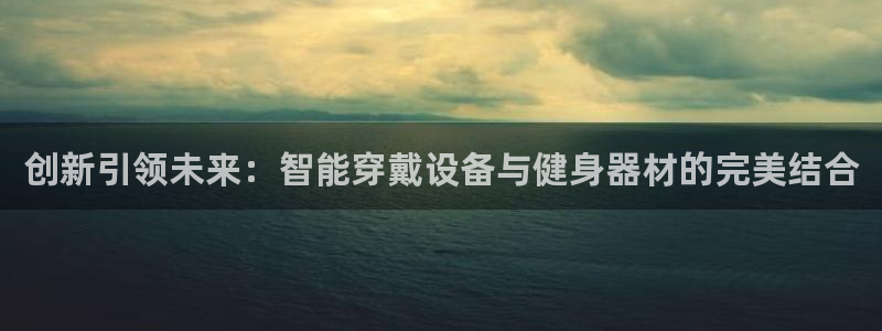 意昂4五金厂：创新引领未来：智能穿戴设备与健身器材的