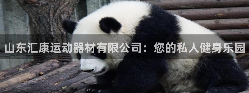 意昂体育4：山东汇康运动器材有限公司：您的私人健身乐