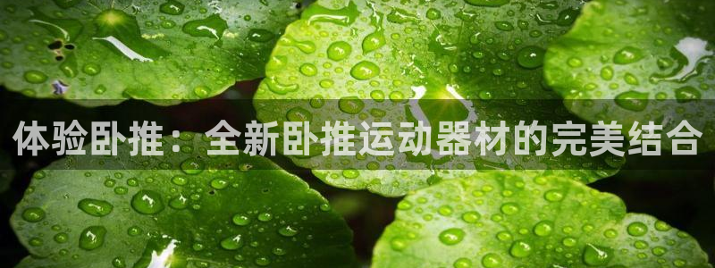 意昂体育4平台注册流程图：体验卧推：全新卧推运动器材