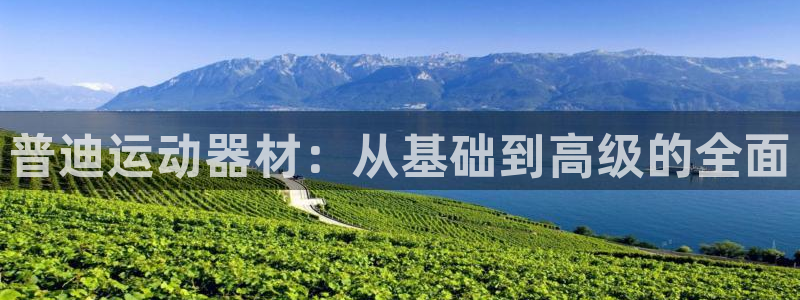 海南意昂体育4：普迪运动器材：从基础到高级的全面