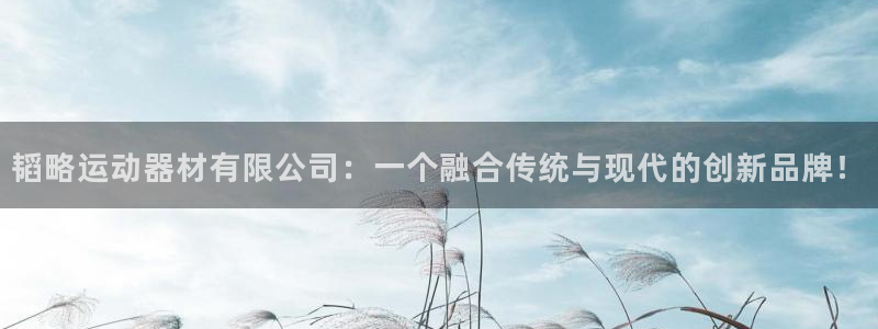 海南意昂体育4发展怎么样：韬略运动器材有限公司：一个